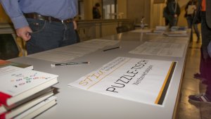 stiu2015-DSC_0367.jpg